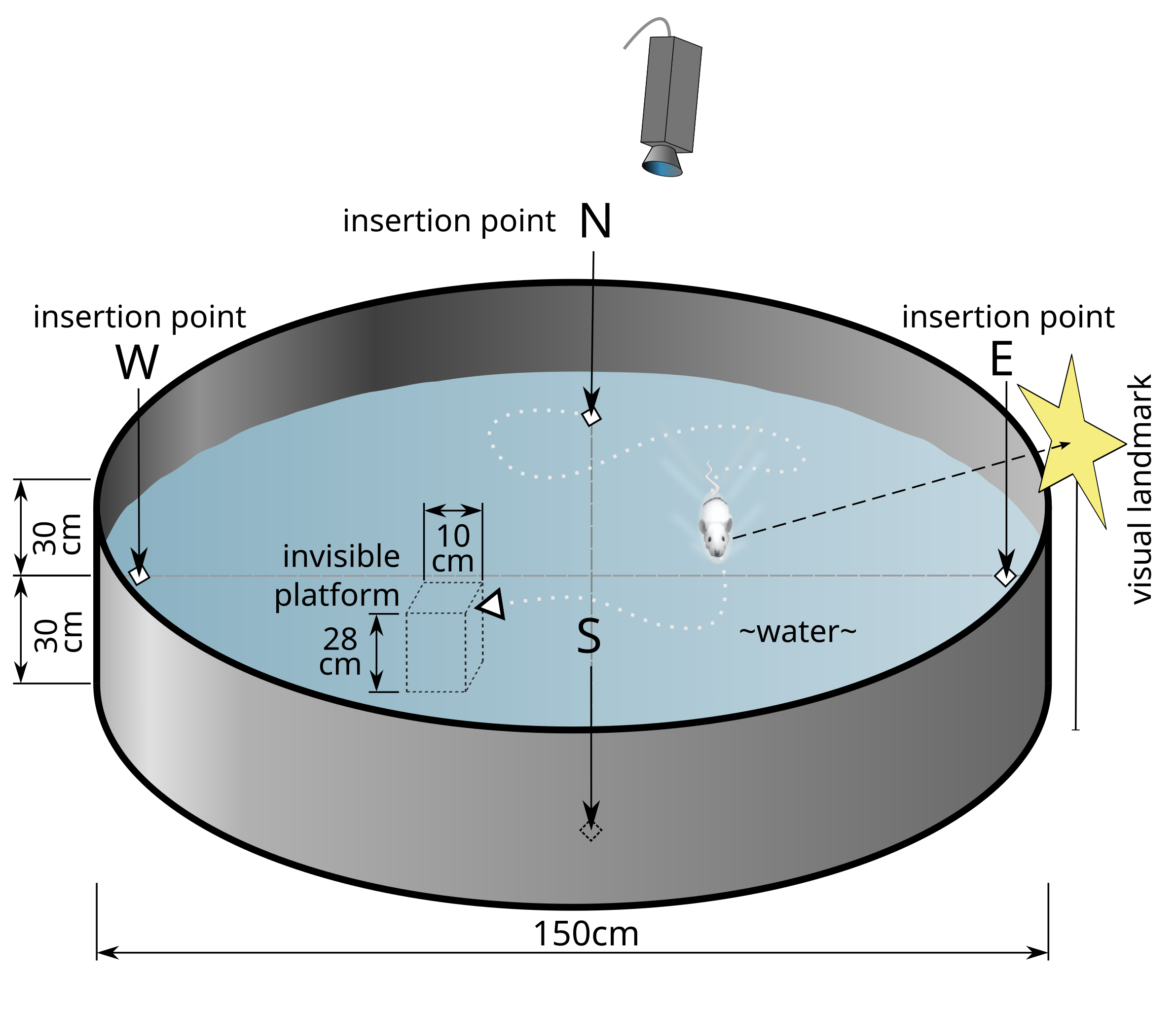 Esquema de una Piscina de Morris, utilizada para pruebas en investigaciones con modelo murino